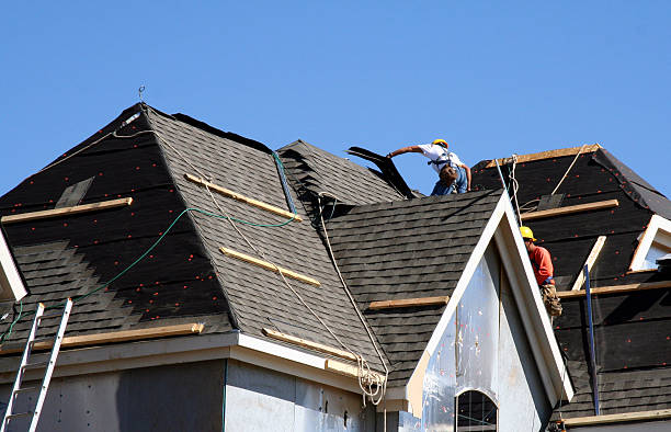 Best Gutter Installation and Roofing  in Frankford, DE
